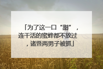为了这一口“甜”，连干活的蜜蜂都不放过，诸暨两男子被抓