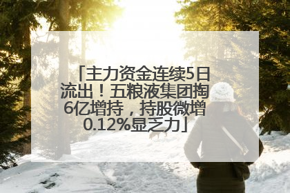 主力资金连续5日流出！五粮液集团掏6亿增持，持股微增0.12%显乏力