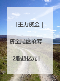 主力资金｜资金尾盘抢筹2股超亿元