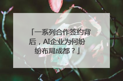 一系列合作签约背后，AI企业为何纷纷布局成都？