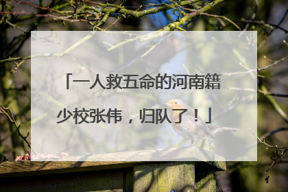 一人救五命的河南籍少校张伟，归队了！