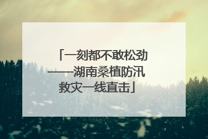 一刻都不敢松劲——湖南桑植防汛救灾一线直击
