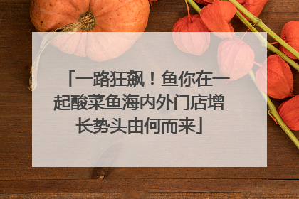 一路狂飙！鱼你在一起酸菜鱼海内外门店增长势头由何而来