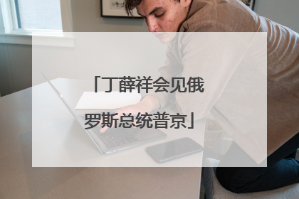 丁薛祥会见俄罗斯总统普京