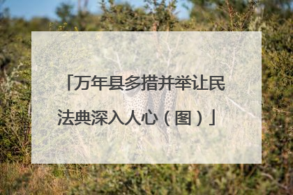 万年县多措并举让民法典深入人心（图）