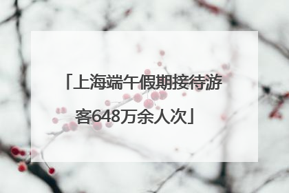 上海端午假期接待游客648万余人次