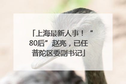 上海最新人事！“80后”赵亮，已任普陀区委副书记