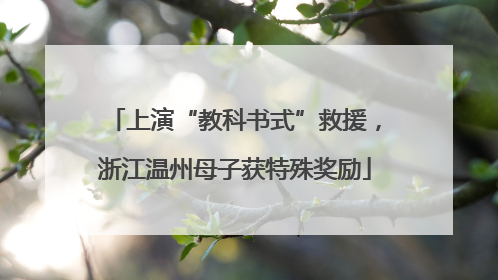 上演“教科书式”救援，浙江温州母子获特殊奖励