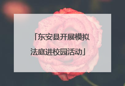 东安县开展模拟法庭进校园活动