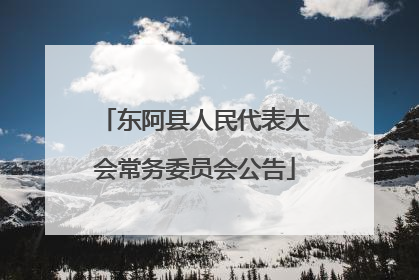 东阿县人民代表大会常务委员会公告