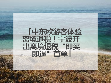 中东欧游客体验离境退税！宁波开出离境退税“即买即退”首单