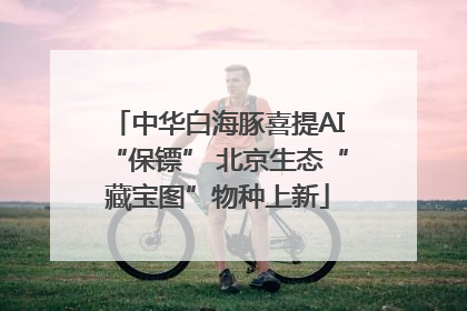 中华白海豚喜提AI“保镖” 北京生态“藏宝图”物种上新
