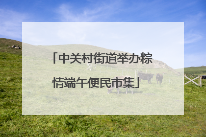 中关村街道举办粽情端午便民市集