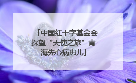中国红十字基金会探望“天使之旅”青海先心病患儿