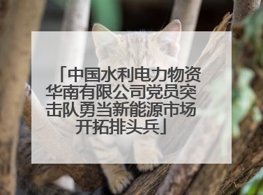 中国水利电力物资华南有限公司党员突击队勇当新能源市场开拓排头兵