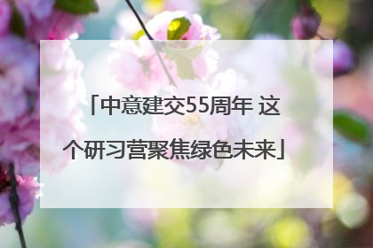 中意建交55周年 这个研习营聚焦绿色未来