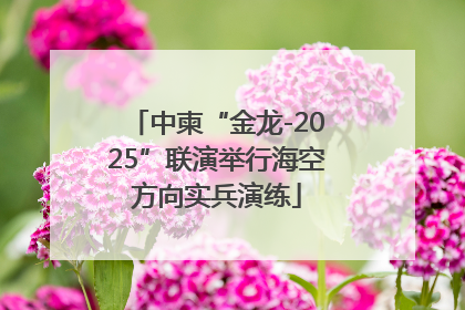 中柬“金龙-2025”联演举行海空方向实兵演练