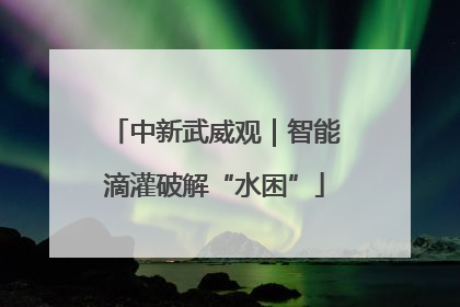 中新武威观｜智能滴灌破解“水困”