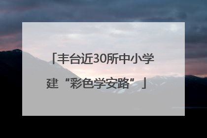 丰台近30所中小学建“彩色学安路”