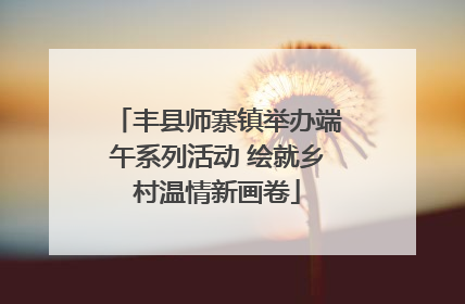 丰县师寨镇举办端午系列活动 绘就乡村温情新画卷
