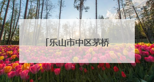 乐山市中区茅桥幼儿园：扎辫活动中的童趣与成长