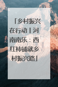 乡村振兴在行动丨河南南乐：西红柿铺就乡村振兴路