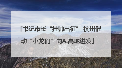 书记市长“挂帅出征” 杭州催动“小龙们”向AI高地进发