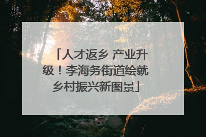 人才返乡 产业升级！李海务街道绘就乡村振兴新图景