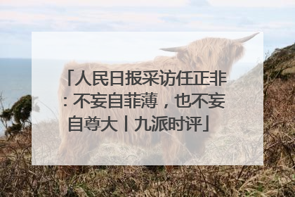 人民日报采访任正非：不妄自菲薄，也不妄自尊大丨九派时评