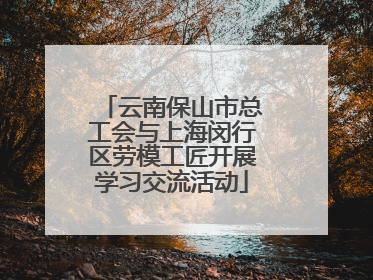 云南保山市总工会与上海闵行区劳模工匠开展学习交流活动