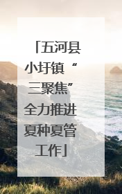五河县小圩镇“三聚焦”全力推进夏种夏管工作