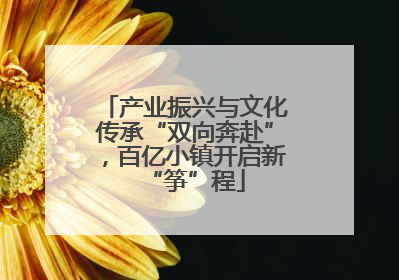 产业振兴与文化传承“双向奔赴”，百亿小镇开启新“筝”程