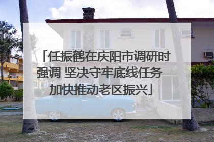 任振鹤在庆阳市调研时强调 坚决守牢底线任务 加快推动老区振兴