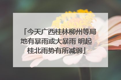 今天广西桂林柳州等局地有暴雨或大暴雨 明起桂北雨势有所减弱