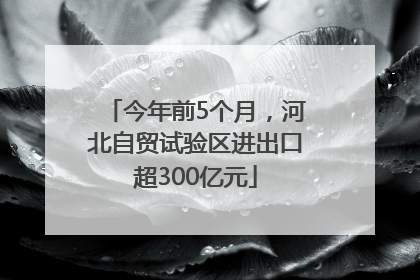 今年前5个月，河北自贸试验区进出口超300亿元