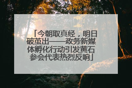今朝取真经，明日破茧出——政务新媒体孵化行动引发黄石参会代表热烈反响