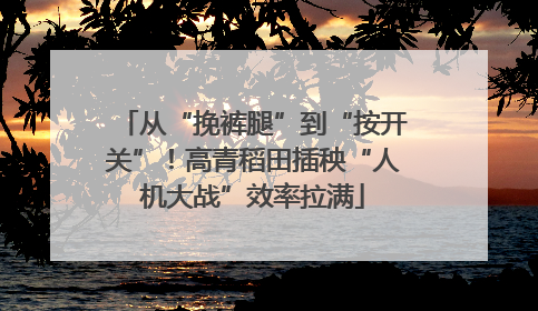 从“挽裤腿”到“按开关”！高青稻田插秧“人机大战”效率拉满