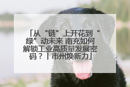 从“链”上开花到“绿”动未来 南充如何解锁工业高质量发展密码？丨市州焕新力