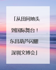 从田间地头到国际舞台！东昌葫芦闪耀深圳文博会
