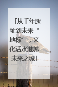 从千年遗址到未来“地标”，文化活水滋养未来之城
