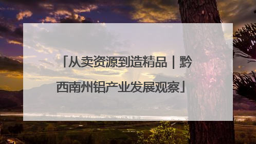 从卖资源到造精品｜黔西南州铝产业发展观察