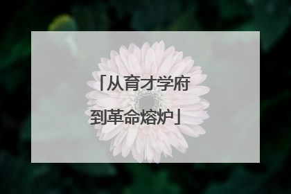 从育才学府到革命熔炉