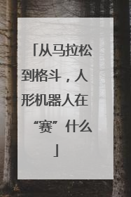 从马拉松到格斗，人形机器人在“赛”什么