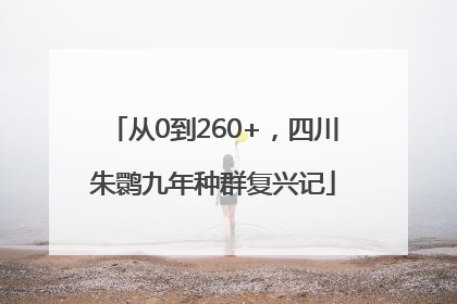 从0到260+，四川朱鹮九年种群复兴记