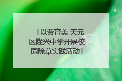 以劳育美 天元区隆兴中学开展校园除草实践活动