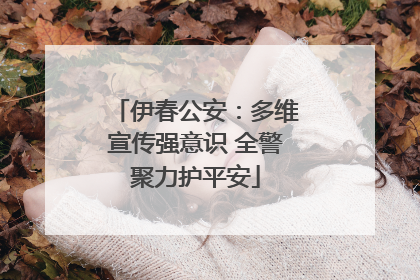 伊春公安：多维宣传强意识 全警聚力护平安