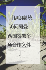 伊朗总统访问阿曼 两国签署多项合作文件