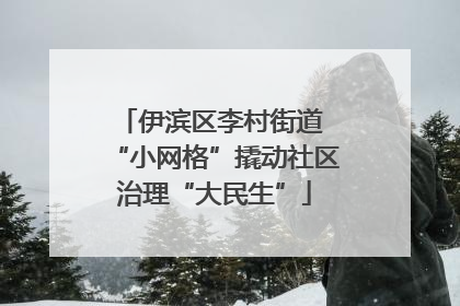伊滨区李村街道 “小网格”撬动社区治理“大民生”