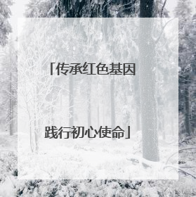 传承红色基因 践行初心使命