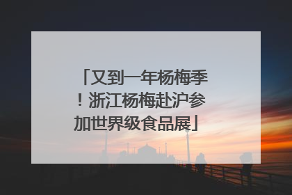 又到一年杨梅季！浙江杨梅赴沪参加世界级食品展